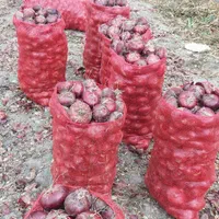 تولید تور پیاز