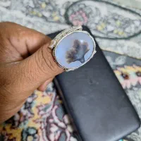 انگشتر شجراصلی