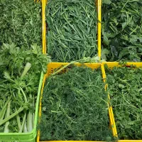 پخش سبزی پاک وشسته خوزستان