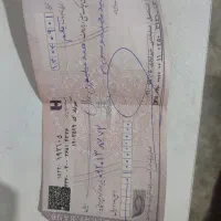 یک عدد چک پیدا شده