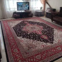 دو عدد فرش ۱۲متری ۱۲۰۰شانه|فرش|کرمانشاه, |دیوار