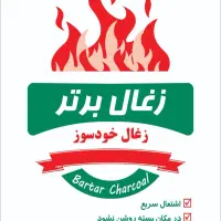 کارخانه زغال کبابی و خودسوز برتر