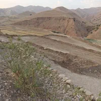 خدمت به هم شهری های عزیز|خدمات پیشه و مهارت|لردگان, |دیوار