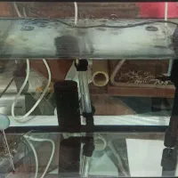 فروش دو عدد آکواریوم با کلی لوازم|ماهی|رشت, دباغیان|دیوار