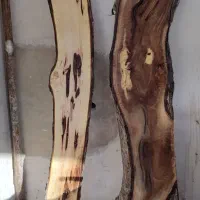 اسلب گردو|عمده‌فروشی|محمدشهر, محمدشهر|دیوار