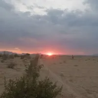 مزدا2000