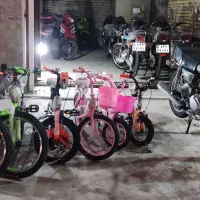 موتور فروشی ذاکری میناب دو راهی زوهکی