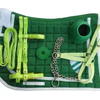 ست سوارکاری