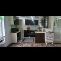 باغ انگور و زمین کشاورزی دینور
