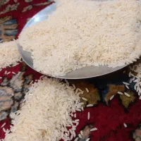 فروش برنج هاشمی