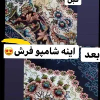 درخشش و تمیزی در چند ثانیه|لوازم نظافت|کرمان, |دیوار