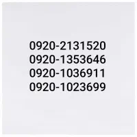 خط دائمی 0920