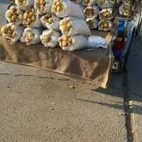 پخش سیب زمینی قروه۲۸ هزار|حراج|سرپل ذهاب, |دیوار