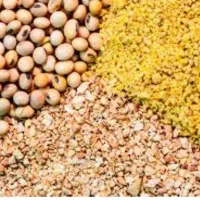 نیروی خط تولید