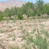 باغ-به-متراژ2100باهمراه-یک-ساعت-آب-موتور-6اینچ