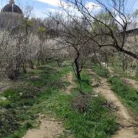 بهشت روی زمین اینجا