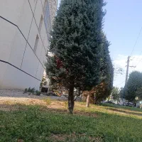 نگهداری-باغ