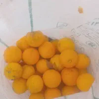 پرتقال محلی