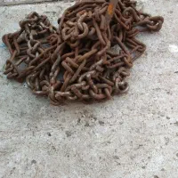 زنجیر چرخ 206