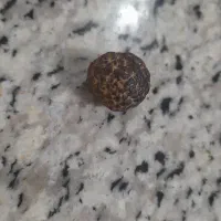 خریدار تماس بگیره