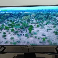 ال ای دی 43 اینچ OLlVE در حد اک