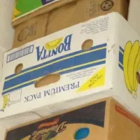کارتن موز و غیره مناسب اسباب کشی و غیره