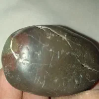 شگفتی های آفرینش .