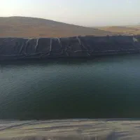 ورق استخر ظریف مصور ۲۰۰ متر
