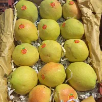 گلابی درگزی|خوردنی و آشامیدنی|اقبالیه, |دیوار