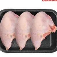 پخش مرغ خانی
