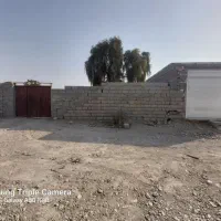 اجاره زمین ایسین|اجارهٔ دفتر صنعتی، کشاورزی، تجاری|بندرعباس, |دیوار