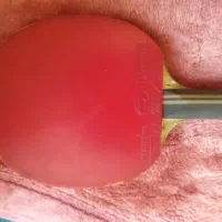 راکت تنیس|ورزش‌های توپی|نیشابور, امین اسلامی|دیوار