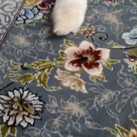 همستر|موش و خرگوش|محمدیه-قزوین, |دیوار