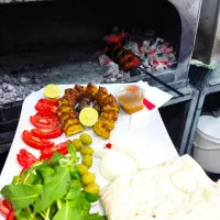نیرو کار در کبابی