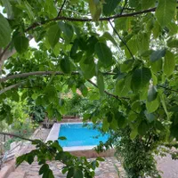 اجاره روزانه/هفتگی باغ و ویلا در هماشهر سپیدان|اجارهٔ کوتاه‌مدت ویلا و باغ|شیراز, دوکوهک|دیوار