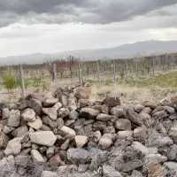 ۱۵۰۰مترزمین   ۳۰دقیقه اب|فروش زمین و ملک کلنگی|قره پشتلو, |دیوار