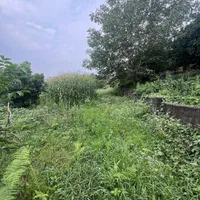 زمین مسکونی 630متر ویو دار|فروش زمین و ملک کلنگی|مرزیکلا, |دیوار