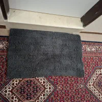 پادری