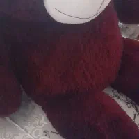 خرس خوش رنگ