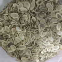 گیاه انغوزه|خدمات باغبانی و درختکاری|تربت‌حیدریه, حیدرآباد|دیوار