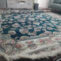 فرش ماشینی|فرش|گلبهار, شهر جدید گلبهار|دیوار