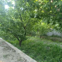 280متر-باغچه-چهاردیواری-آماده-ساخت