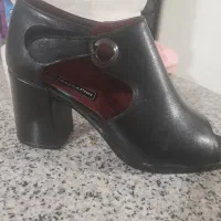 کفش سایز ۳۹