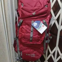 کوله پشتی کوهنوردی دیوتر پلمپ