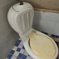 سنگ توالت فرنگی