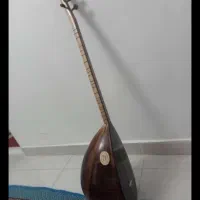 باغلمه هوای هم برقی