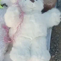 عروسک همه مدل|اسباب‌بازی بچه|بیرجند, |دیوار