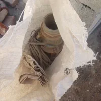 شناوراویکو