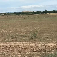 زمین زراعی مخصوص باغ ۲۰۰۰ متر ۳۵۰ میلیون تومن