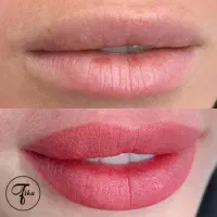 شیدینگ لب فقط پ*انصد